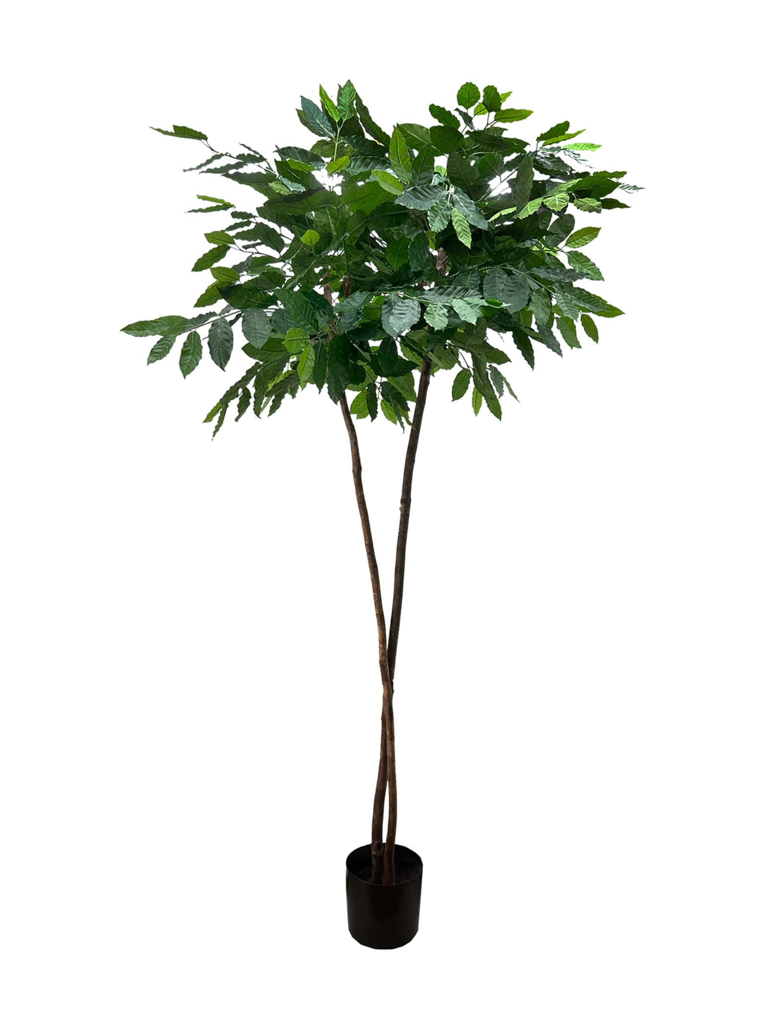 Artificial Tree- 2.1m Coffea Arabica (UV Resistant)