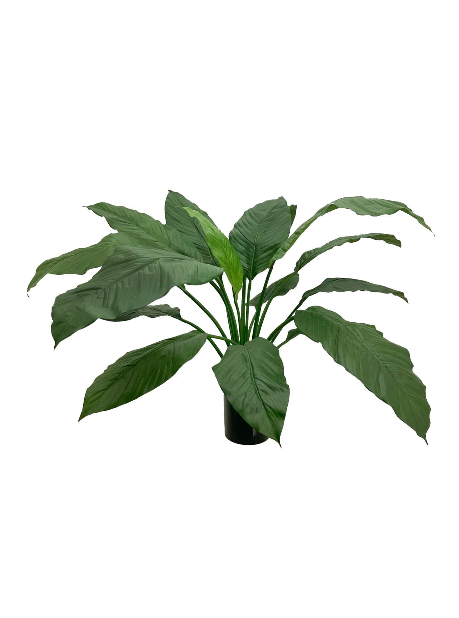 Artificial Plant - 60cm Spathiphyllum King (UV Resistant)
