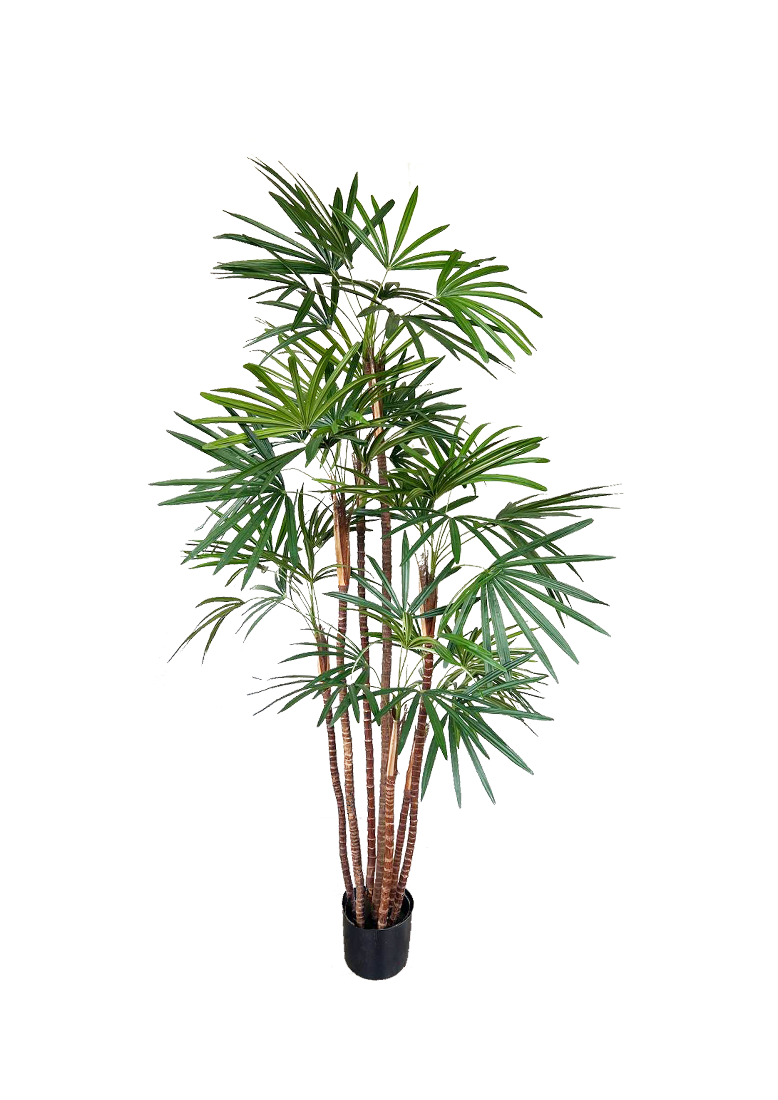 Artificial Plant - Honeylady Palm - 4ft