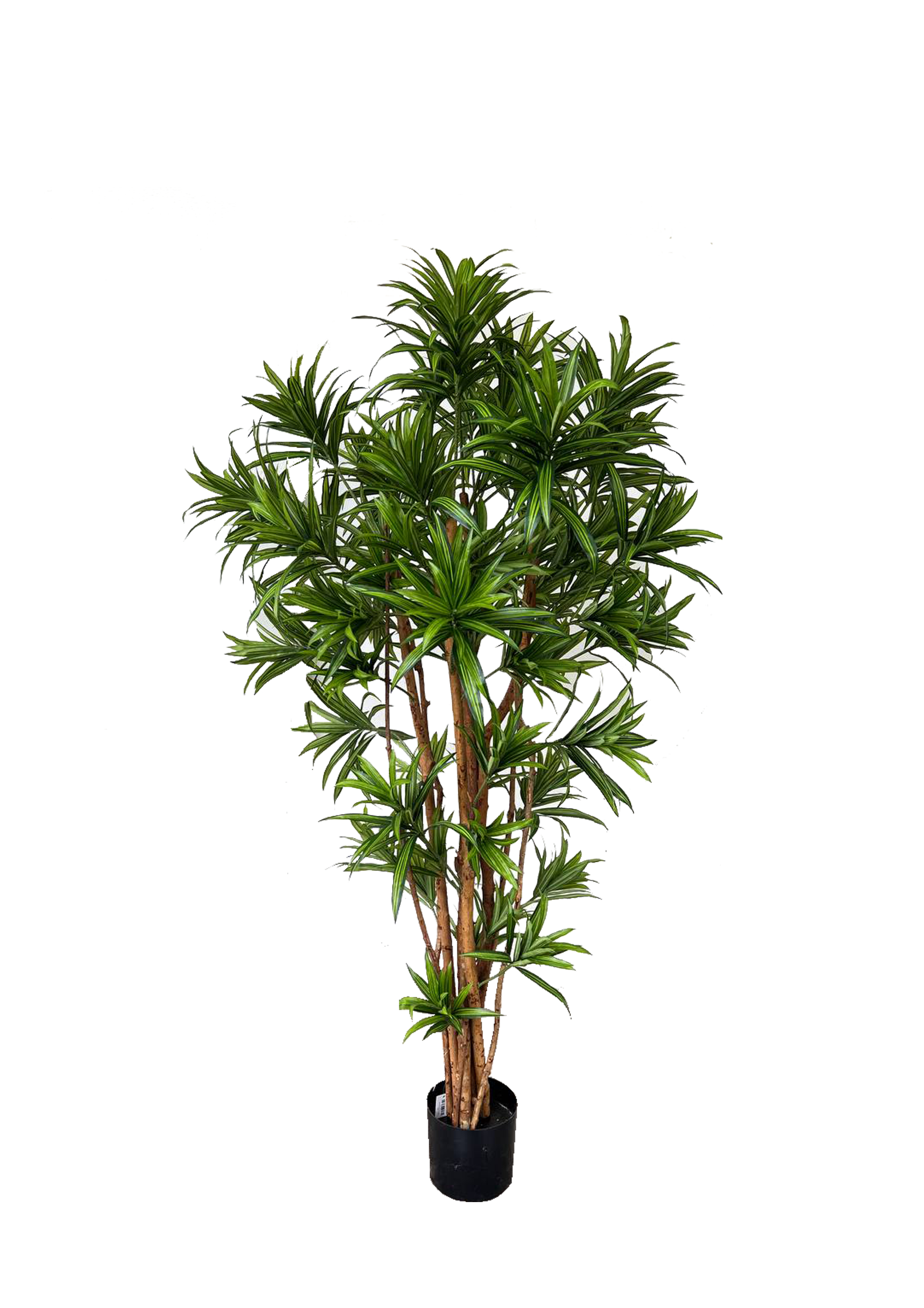 Artificial Tree- 1.5m Dracaena Reflexa (UV Resistant)