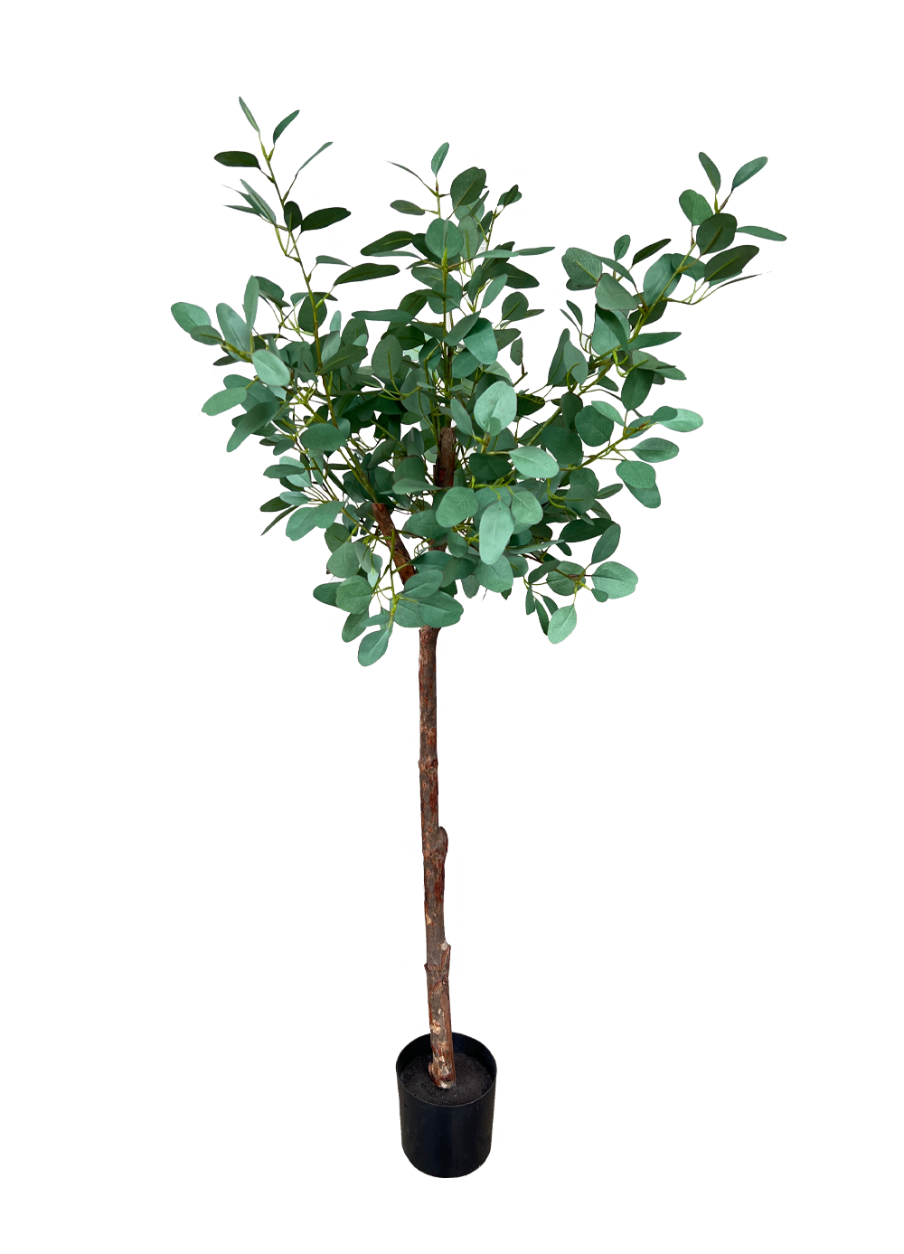 Artificial Tree- 1.2m Eucalyptus Gunnii (UV Resistant)