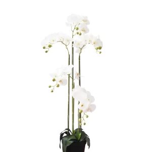 Artificial Plant - 5 Stalk Potted White Orchid