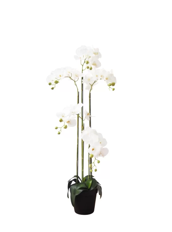 Artificial Plant - 5 Stalk Potted White Orchid