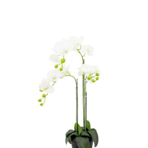 Artificial Plant - 3 Stalk Potted White Orchid