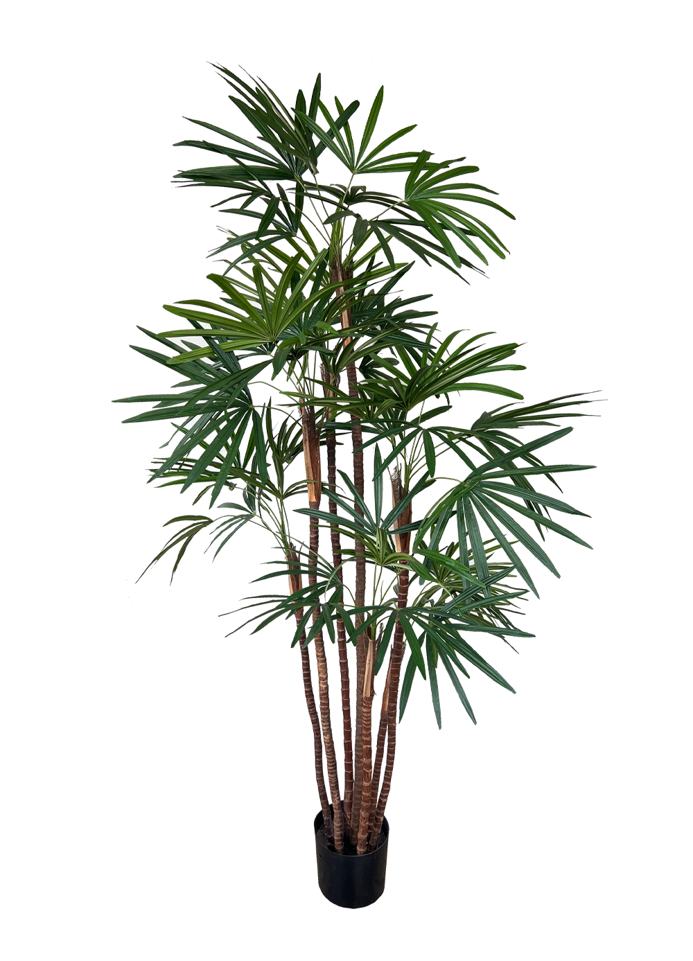 Artificial Tree- 1.6m Honeylady Palm (UV Resistant)