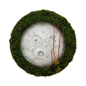 Eden Eclipse - 60cm