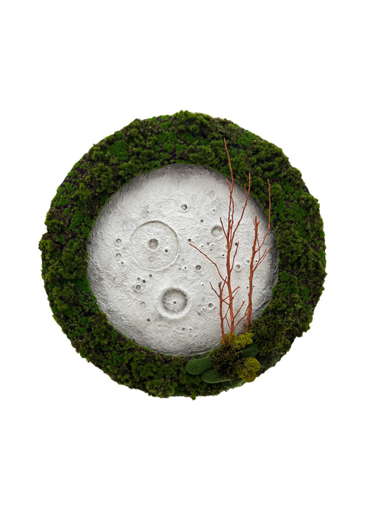 Eden Eclipse - 60cm