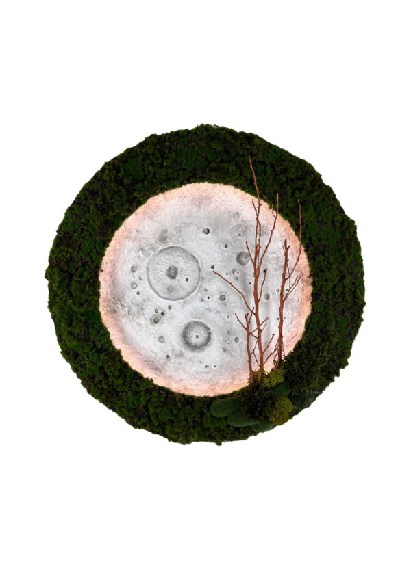 Eden Eclipse - 60cm - Image 3
