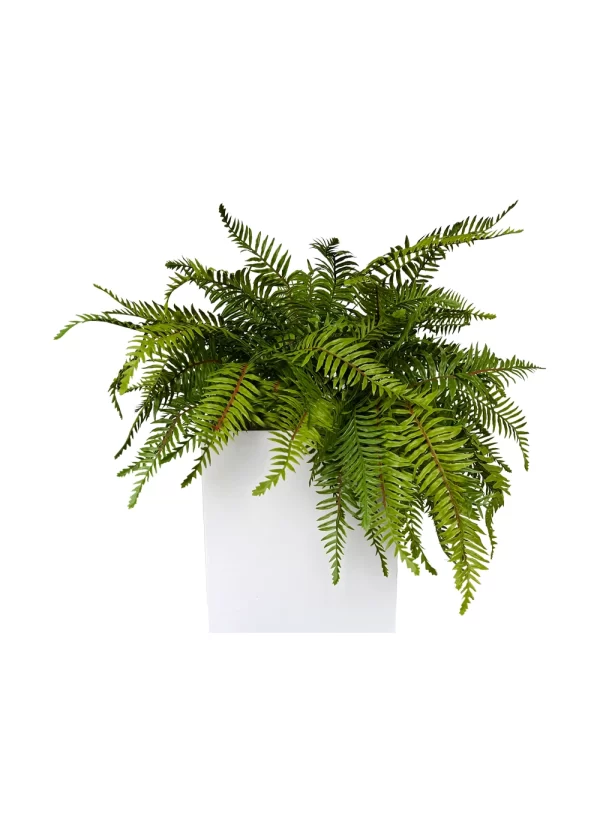 Fern Bliss Planter - Image 2