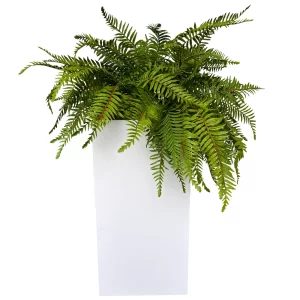 Fern Bliss Planter
