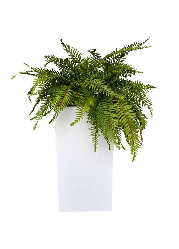 Fern Bliss Planter