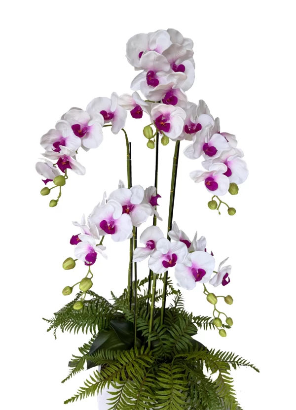 Whispering Blooms - Image 2