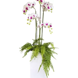 Whispering Blooms