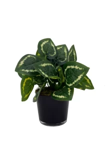 artificial plant potted in a black round pot