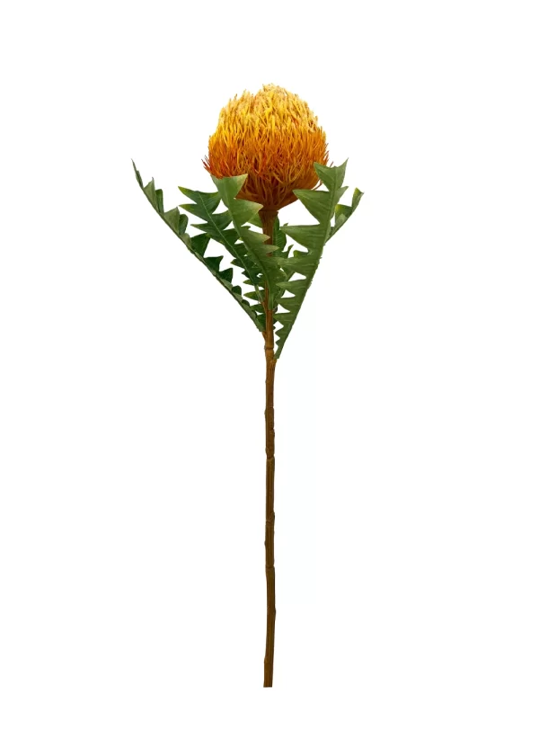 Banksia Spray - Orange
