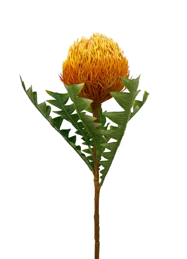 Banksia Spray - Orange - Image 2