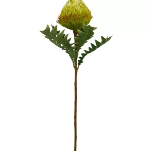 Banksia Spray - Yellow Green