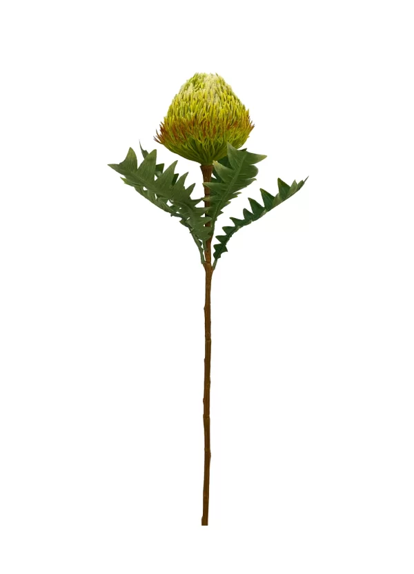 Banksia Spray - Yellow Green