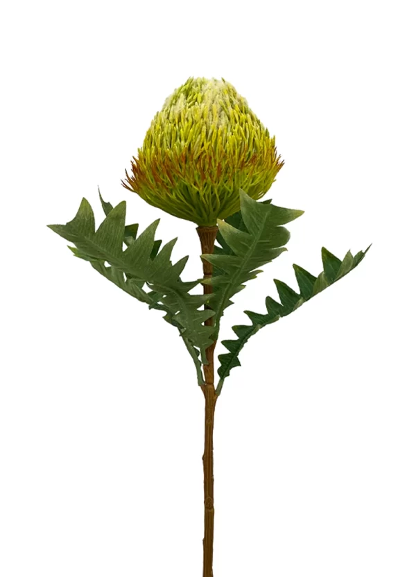 Banksia Spray - Yellow Green - Image 2
