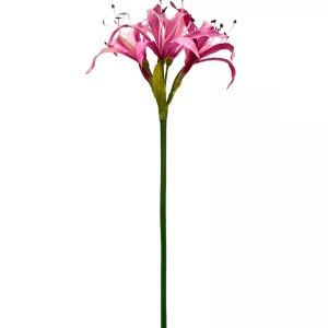 Nerine Spray - Pink