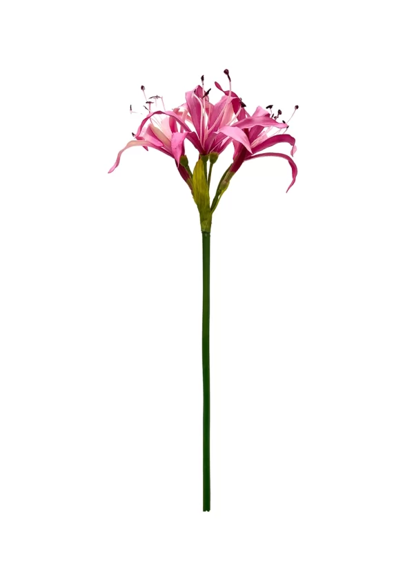 Nerine Spray - Pink