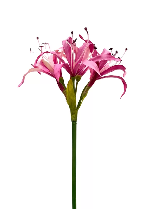 Nerine Spray - Pink - Image 2