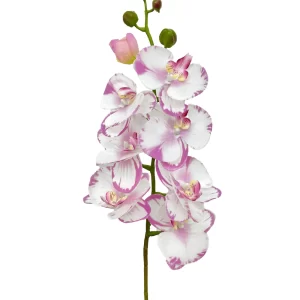 8-Bloom Phalaenopsis Spray – Light Lavender