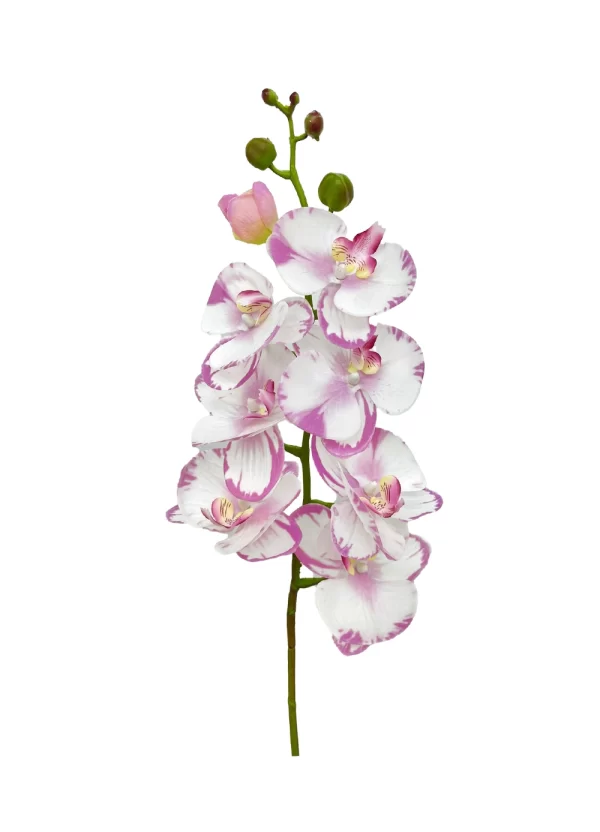 8-Bloom Phalaenopsis Spray – Light Lavender