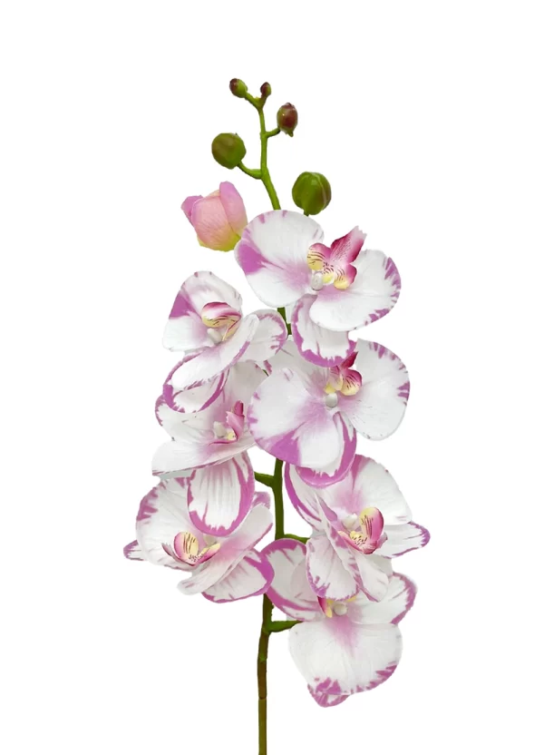 8-Bloom Phalaenopsis Spray – Light Lavender - Image 2