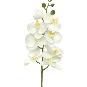 8-Bloom Phalaenopsis Spray - White w Yellow Lips