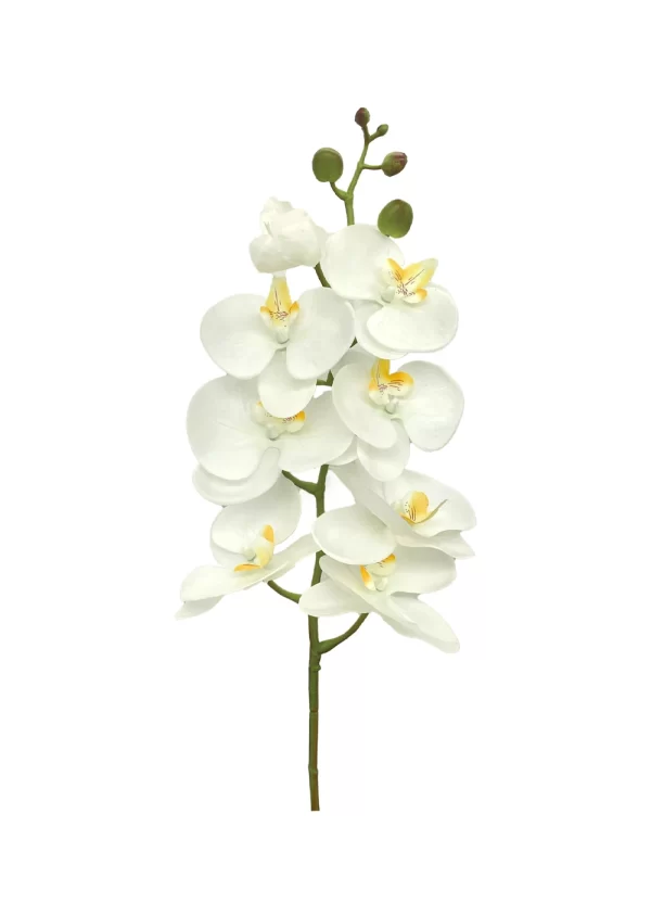 8-Bloom Phalaenopsis Spray - White w Yellow Lips