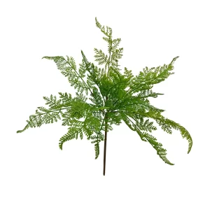 Forest Fern Bush