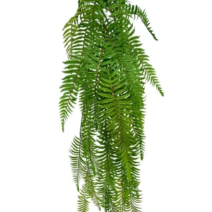 Hanging Boston Fern